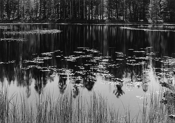 Siesta Lake