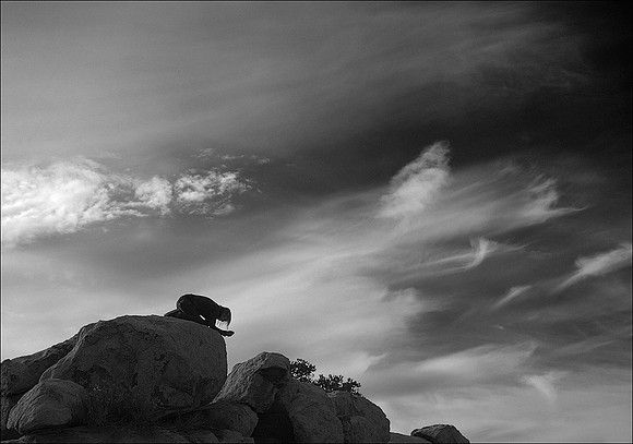 Girl on Rock