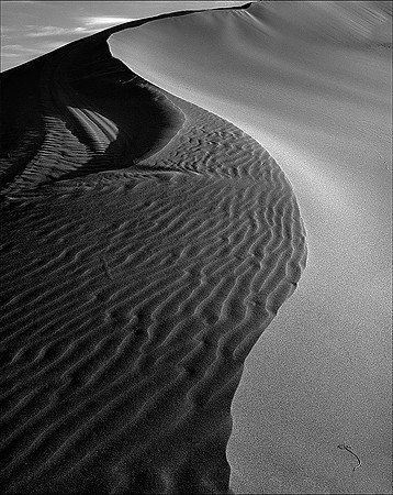Sand Dune